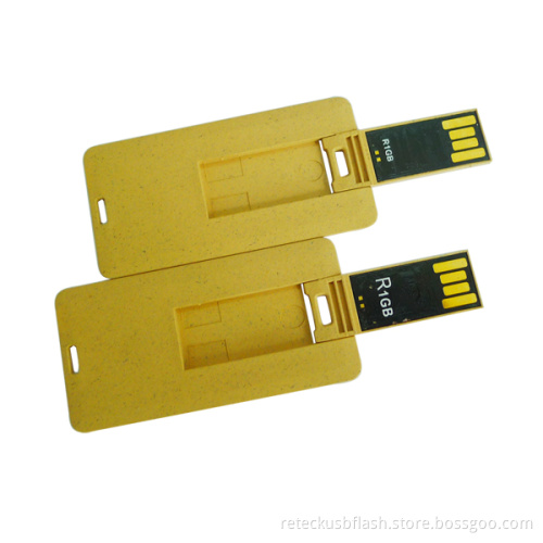 Fancy 2gb USB Flash Drive Business Cards
